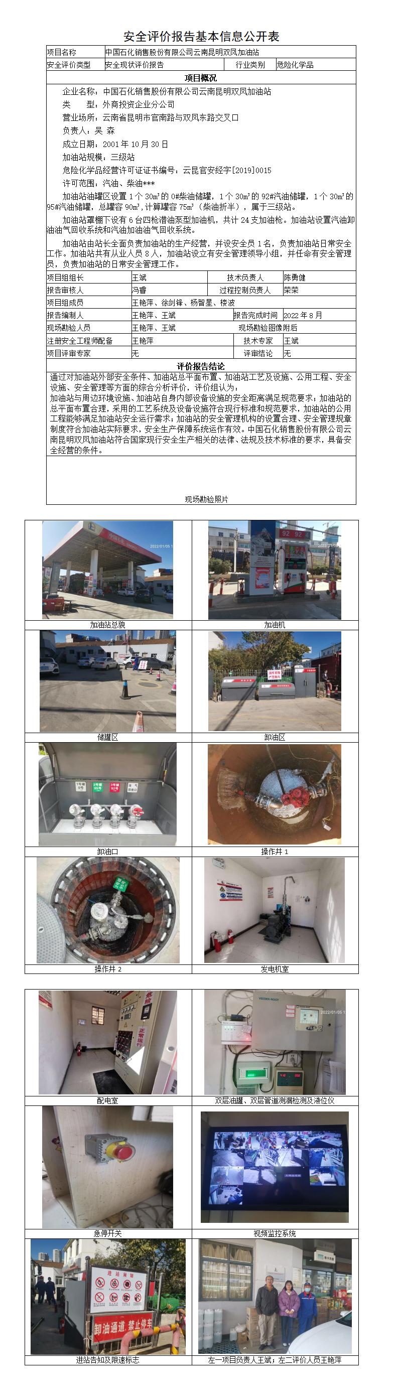 安全评价报告基本信息公开表双凤加油站现状