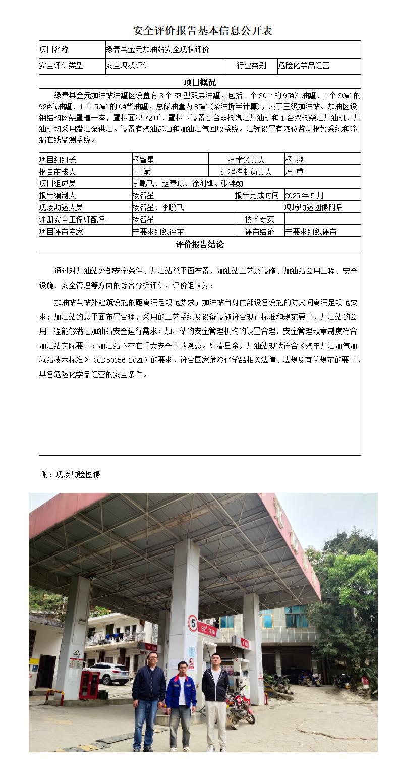 （金元加油站）安全评价报告基本信息公开表