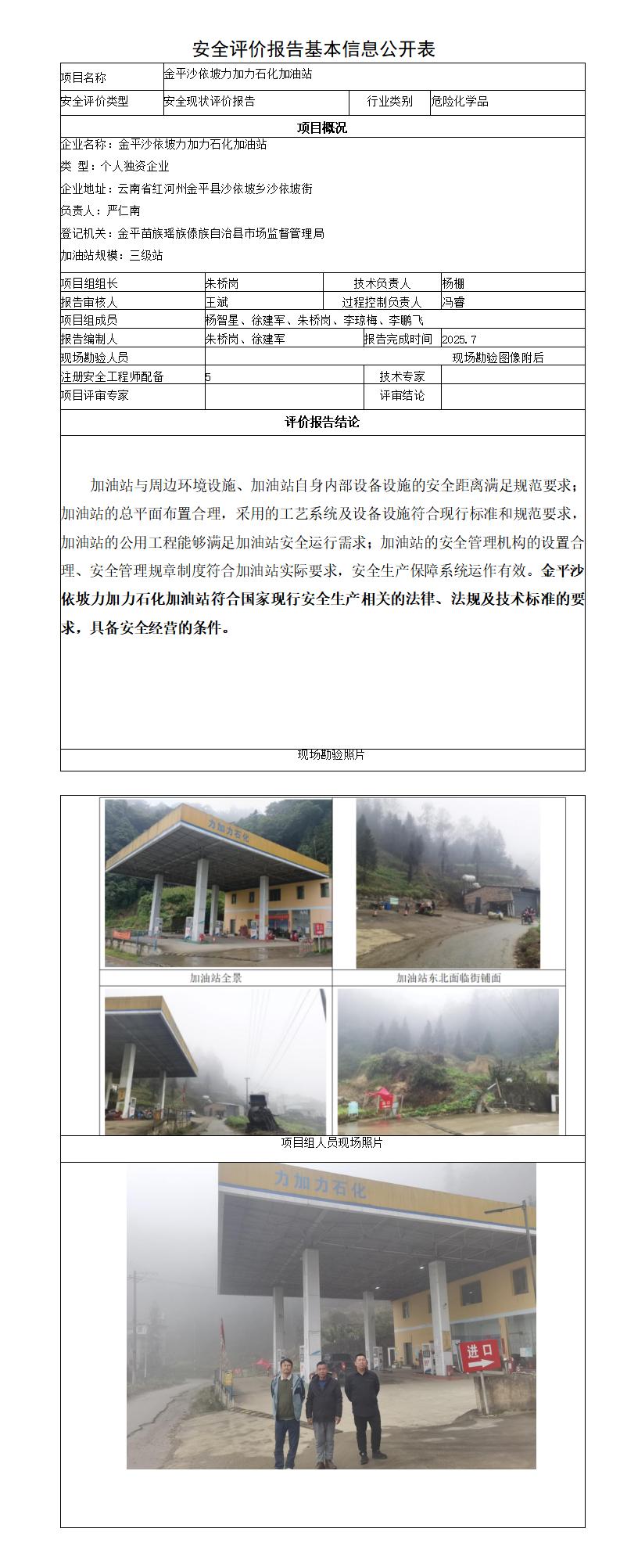 安全评价报告基本信息公开表金平沙依坡力加力石化加油站现状