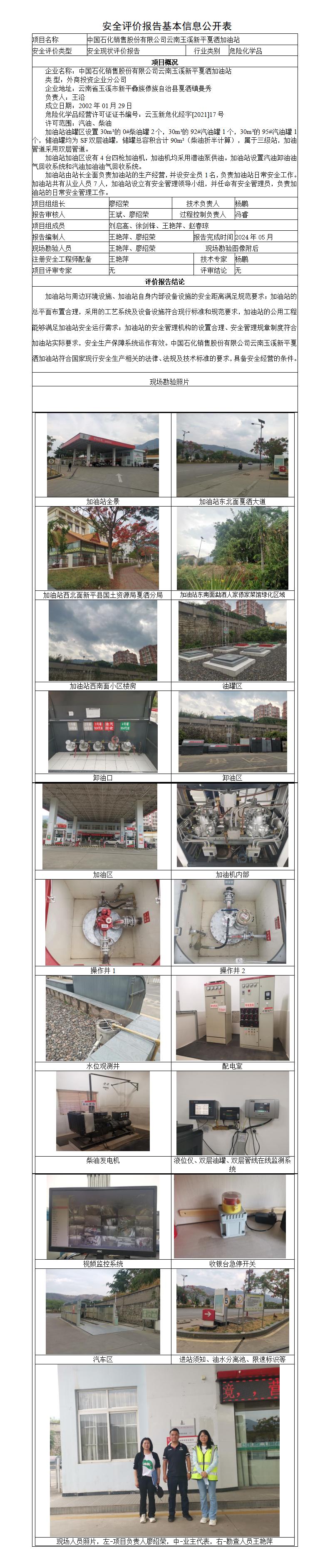安全评价报告基本信息公开表新平戛洒